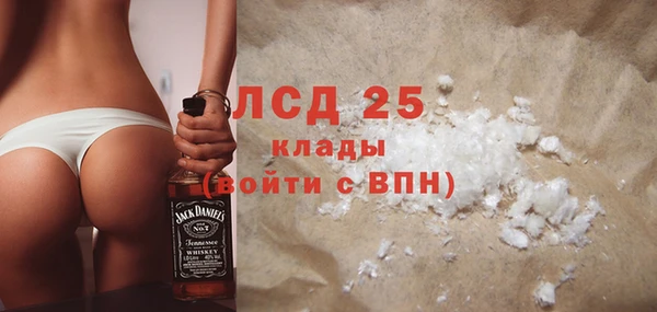 стаф Алзамай