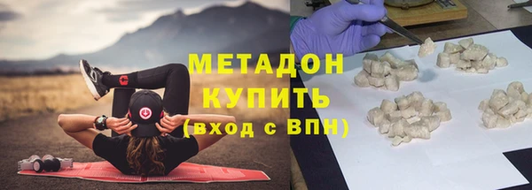 стаф Алзамай