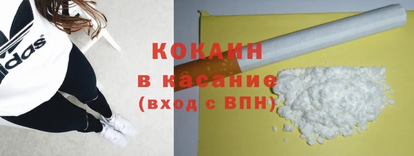 стаф Алзамай
