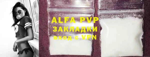 стаф Алзамай