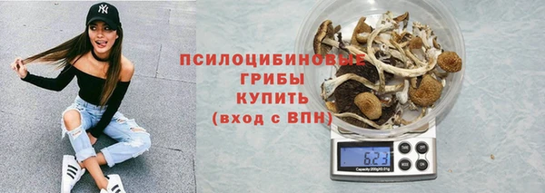 стаф Алзамай