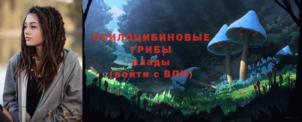 синтетический гашиш Алексин