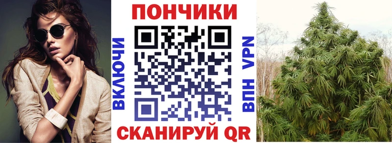 нарко площадка какой сайт  Бийск  Канабис OG Kush 